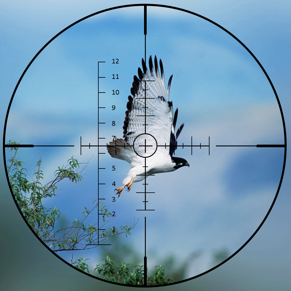 Fire Wolf 10-40x50 E Scope Long Range Riflescope Side Wheel Parallax Optic Sight Rifle  Hunting Scopes Sniper Rifle Sight